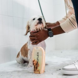 Tame the Chaos: Smarter Packaging for Pet Bath Time